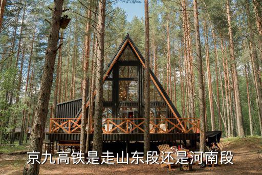京九高鐵經(jīng)過河南哪里,京九高鐵經(jīng)過河南嗎