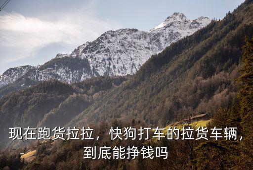 現在跑貨拉拉，快狗打車的拉貨車輛，到底能掙錢嗎