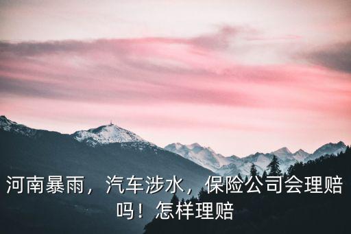 河南保險公司這次大雨怎么處理,保險公司會理賠嗎