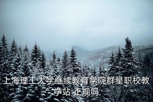 上海理工大學繼續教育學院群星職校教學站 正規嗎