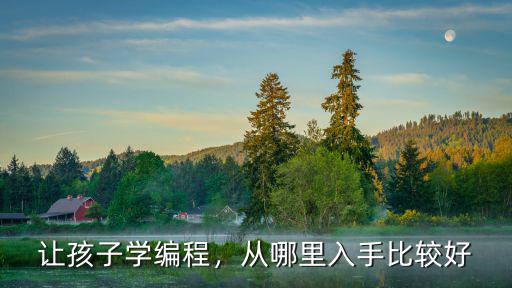 讓孩子學(xué)編程，從哪里入手比較好