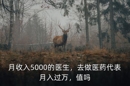 月收入5000的醫(yī)生，去做醫(yī)藥代表月入過(guò)萬(wàn)，值嗎