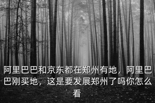阿里巴巴和京東都在鄭州有地，阿里巴巴剛買地，這是要發(fā)展鄭州了嗎你怎么看