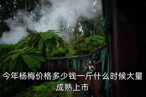 今年楊梅價格多少錢一斤什么時候大量成熟上市
