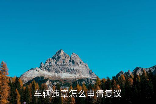 車輛違章怎么申請復議