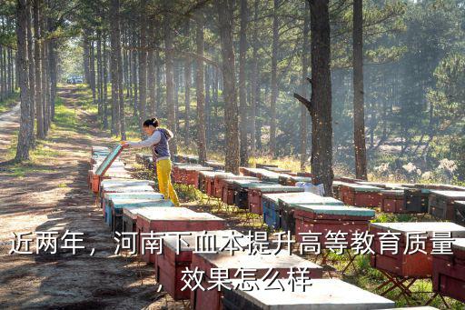 近兩年，河南下血本提升高等教育質量，效果怎么樣