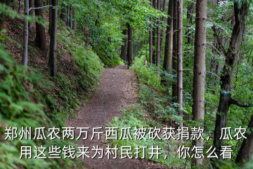 鄭州瓜農(nóng)兩萬斤西瓜被砍獲捐款，瓜農(nóng)用這些錢來為村民打井，你怎么看