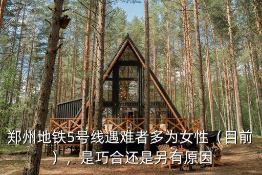 鄭州5號線水怎么灌進去的,你期待鄭州地鐵5號線通車嗎