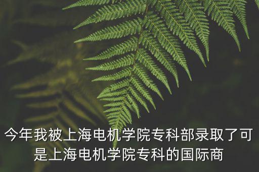 上海電機學院商學院，今年我被上海電機學院?？撇夸浫×丝墒巧虾ｋ姍C學院?？频膰H商