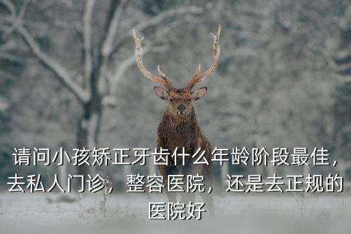 請(qǐng)問(wèn)小孩矯正牙齒什么年齡階段最佳，去私人門診，整容醫(yī)院，還是去正規(guī)的醫(yī)院好