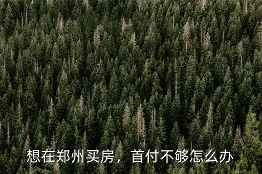 想在鄭州買房，首付不夠怎么辦