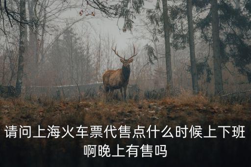 請問上海火車票代售點什么時候上下班啊晚上有售嗎
