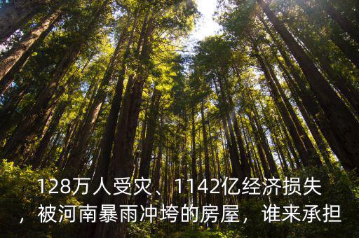 128萬(wàn)人受災(zāi)、1142億經(jīng)濟(jì)損失，被河南暴雨沖垮的房屋，誰(shuí)來(lái)承擔(dān)