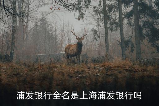 浦發銀行全名是上海浦發銀行嗎