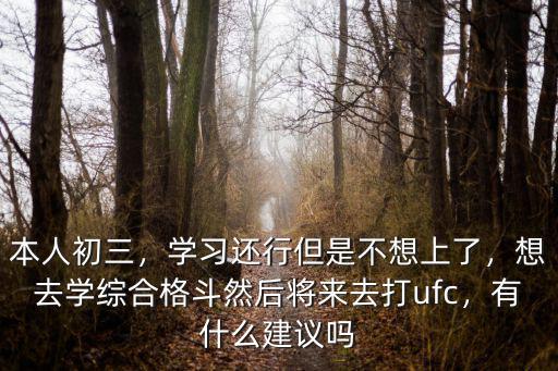 本人初三，學習還行但是不想上了，想去學綜合格斗然后將來去打ufc，有什么建議嗎