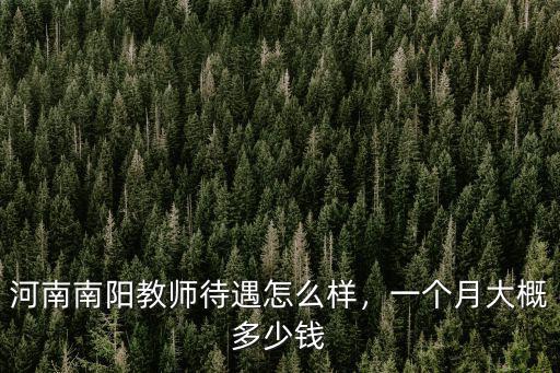 河南南陽教師待遇怎么樣，一個月大概多少錢