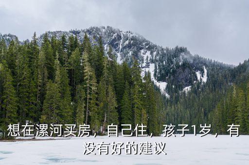 想在漯河買(mǎi)房，自己住，孩子1歲，有沒(méi)有好的建議