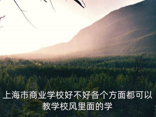 上海市商業學校，上海市商業學校好不好各個方面都可以教學校風里面的學