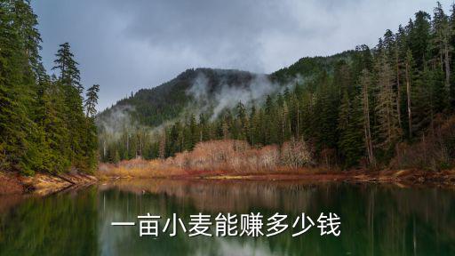 一畝小麥能賺多少錢