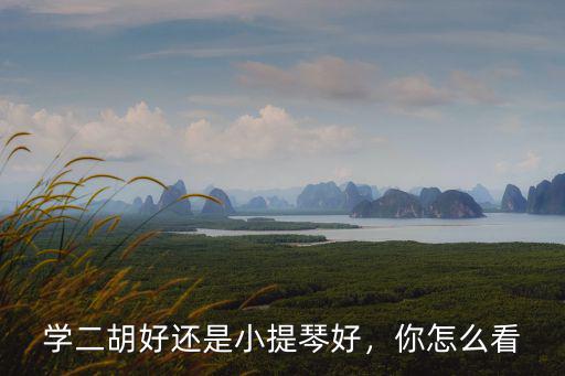 學(xué)二胡好還是小提琴好，你怎么看