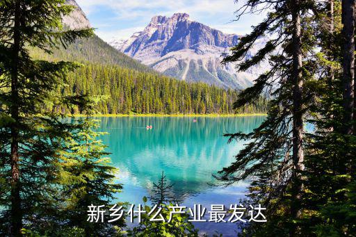 新鄉什么產業最發達