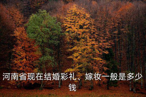 河南省現(xiàn)在結(jié)婚彩禮、嫁妝一般是多少錢