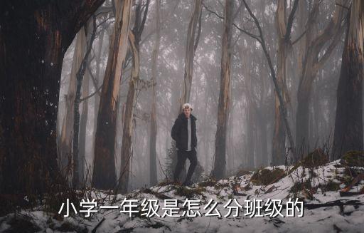 來安陽(yáng)光小學(xué)考試分班是怎么回事,后天陽(yáng)光分班