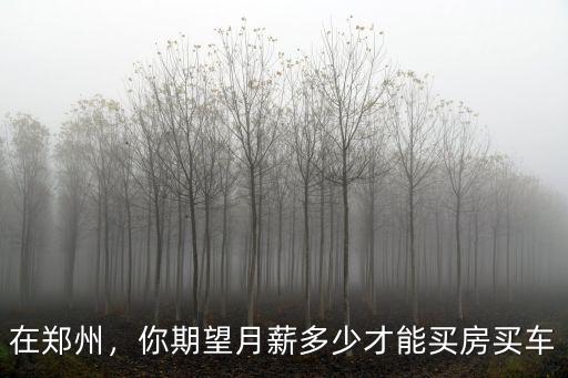 在鄭州，你期望月薪多少才能買房買車