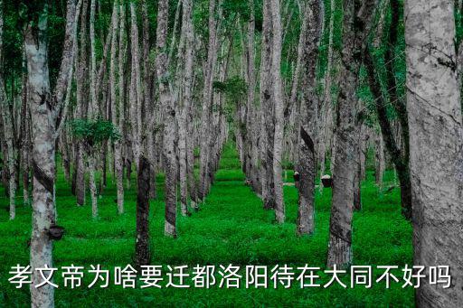 孝文帝為啥要遷都洛陽待在大同不好嗎