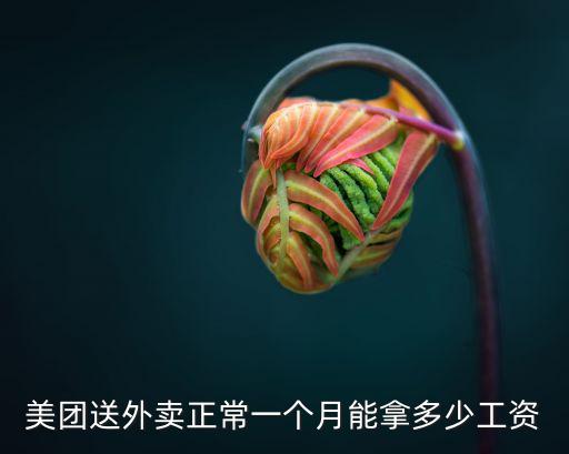 美團送外賣正常一個月能拿多少工資