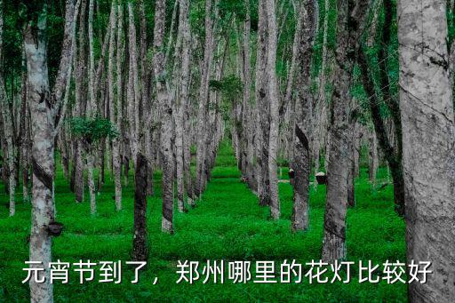元宵節(jié)到了，鄭州哪里的花燈比較好