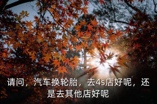請(qǐng)問，汽車換輪胎，去4s店好呢，還是去其他店好呢