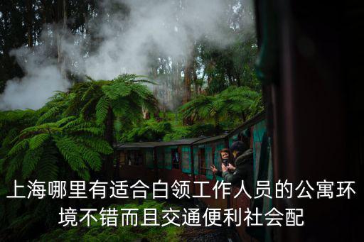 上海白領公寓，上海白領公寓哪個比較好聽聽各位的介紹