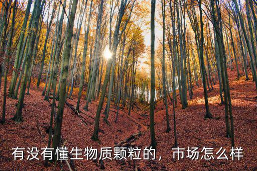 有沒有懂生物質(zhì)顆粒的，市場怎么樣
