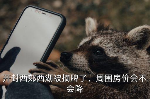 開封西湖碧水房價(jià)多少,開封西郊西湖被摘牌了