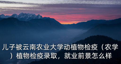 河南農(nóng)大的動(dòng)植物檢疫怎么樣,就業(yè)前景怎么樣