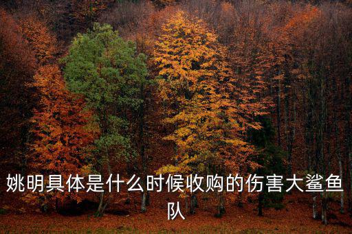 上海大鯊魚，姚明具體是什么時候收購的傷害大鯊魚隊