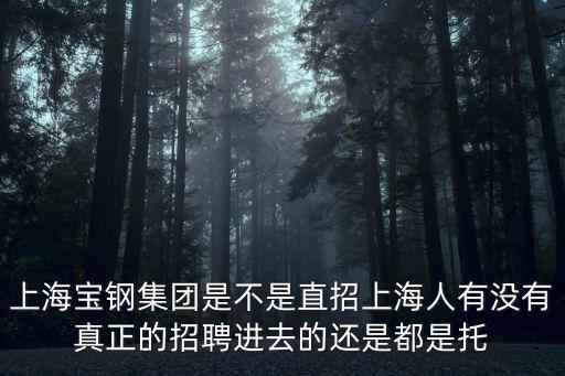 上海寶鋼集團公司，寶鋼集團有限公司是哪個城市的
