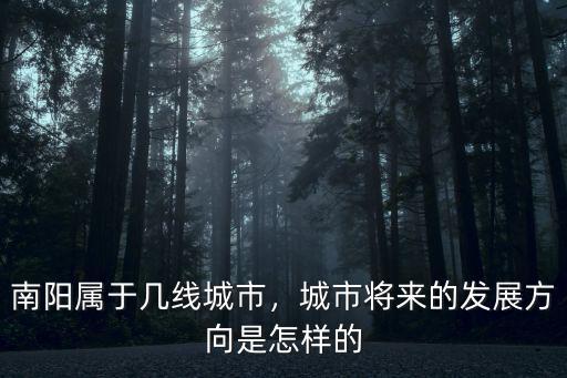 南陽屬于幾線城市，城市將來的發展方向是怎樣的