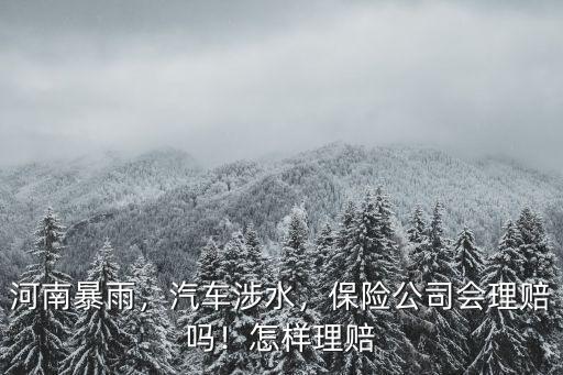 河南暴雨，汽車(chē)涉水，保險(xiǎn)公司會(huì)理賠嗎！怎樣理賠