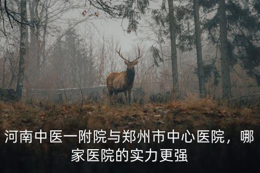 河南中醫(yī)一附院與鄭州市中心醫(yī)院，哪家醫(yī)院的實力更強