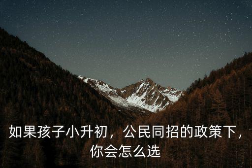如果孩子小升初，公民同招的政策下，你會(huì)怎么選
