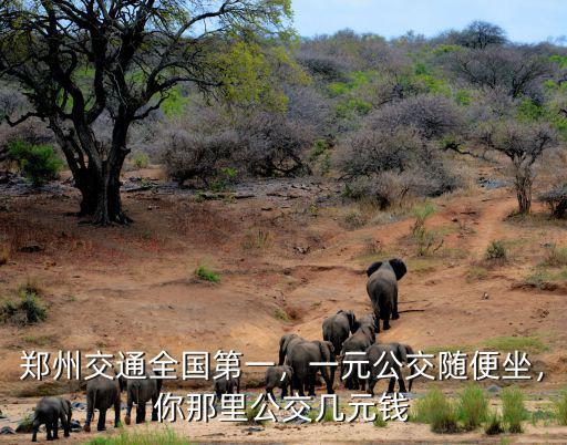 鄭州交通全國第一，一元公交隨便坐，你那里公交幾元錢