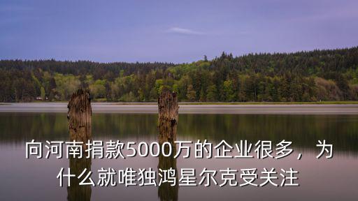 向河南捐款5000萬的企業很多，為什么就唯獨鴻星爾克受關注