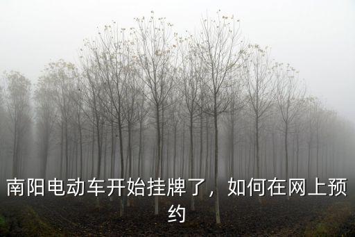 南陽電動車開始掛牌了，如何在網(wǎng)上預(yù)約
