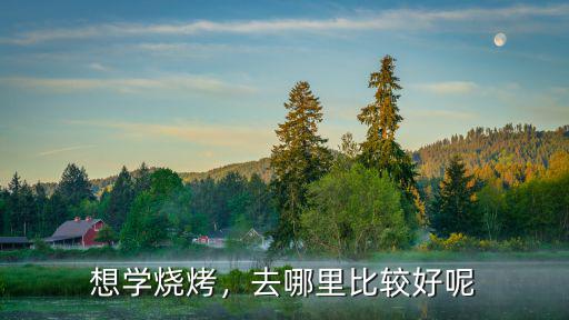 想學燒烤，去哪里比較好呢