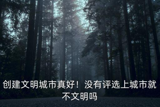 創(chuàng)建文明城市真好！沒有評選上城市就不文明嗎