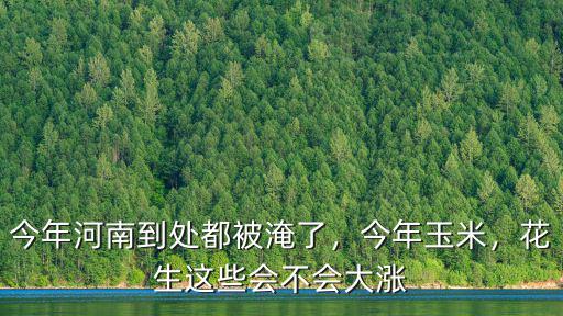 今年河南到處都被淹了，今年玉米，花生這些會(huì)不會(huì)大漲