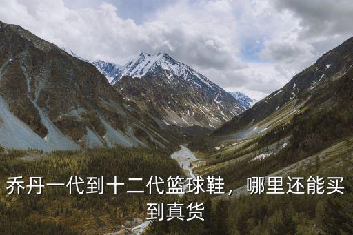 鄭州哪里能買(mǎi)到真品籃球鞋,哪里還能買(mǎi)到真貨