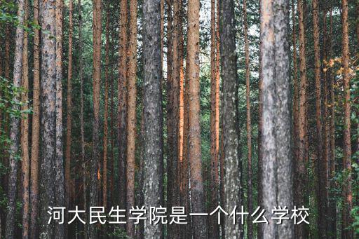 河南大學民生學院一年多少錢,河大民生學院怎么樣